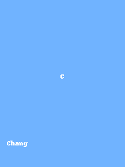張大偉 / Chang David